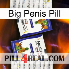 Big Penis Pill 12